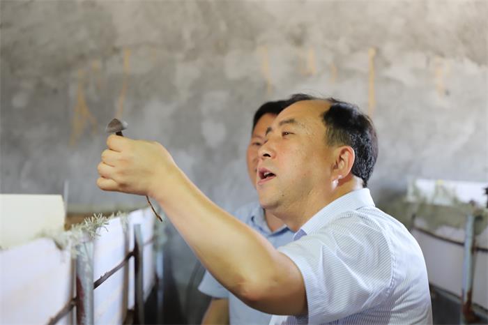 金禾娱乐城